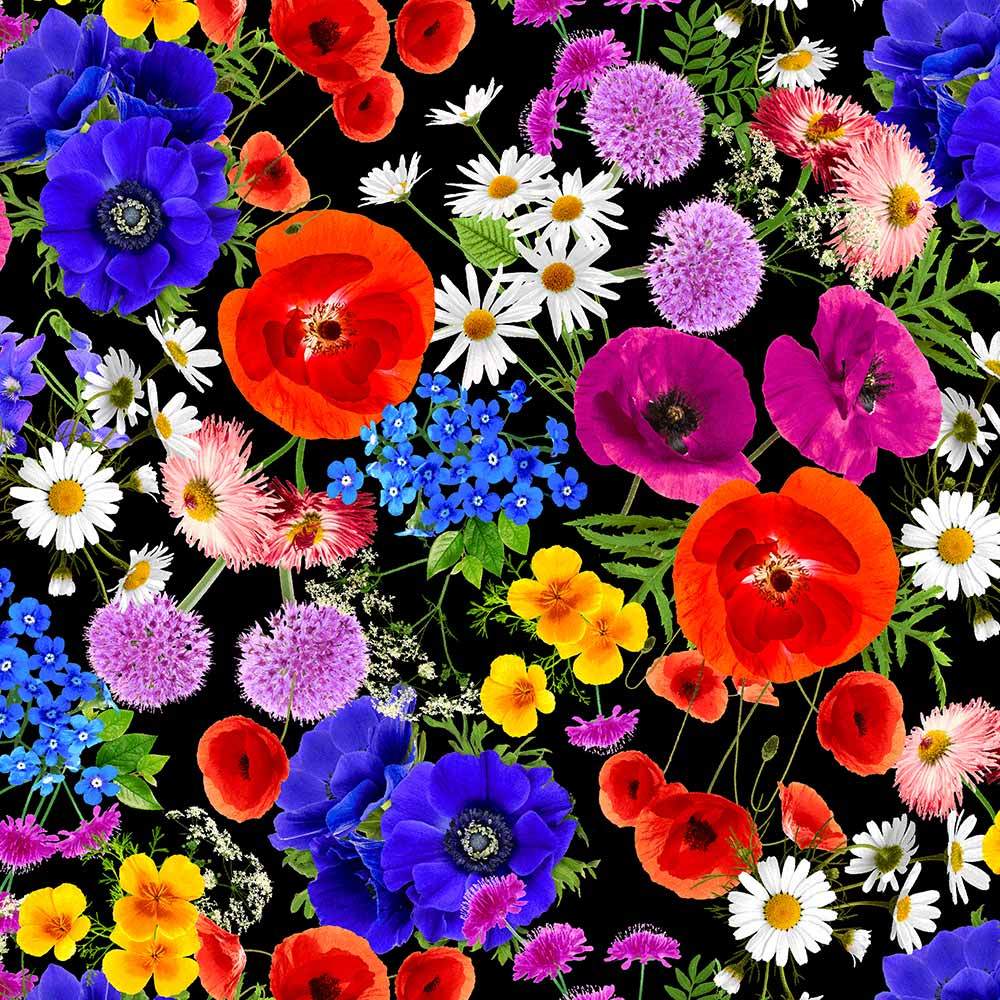 Timeless Treasures Wildflowers 108" Wide 3 Yard Back Pack Keepsake Quilting