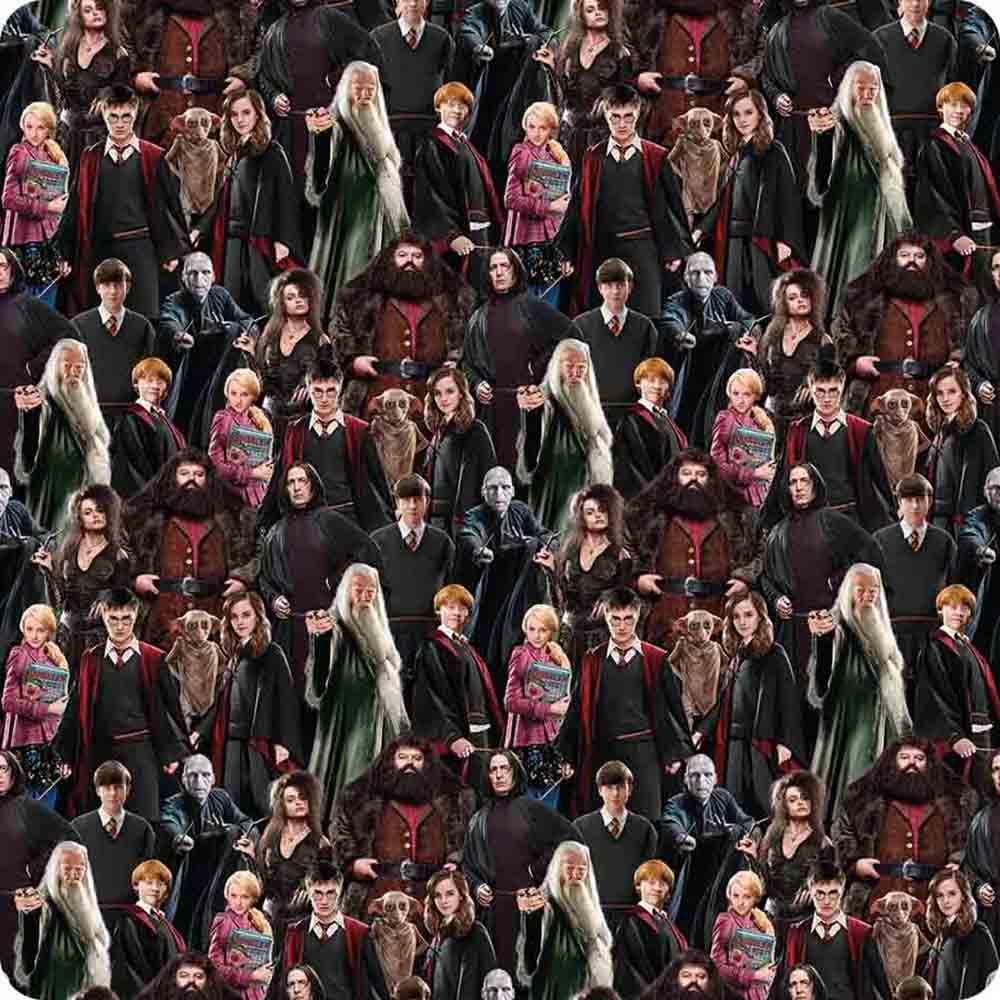 Benartex Fabrics - Harry Potter by Warner Bros. - Harry Potter
