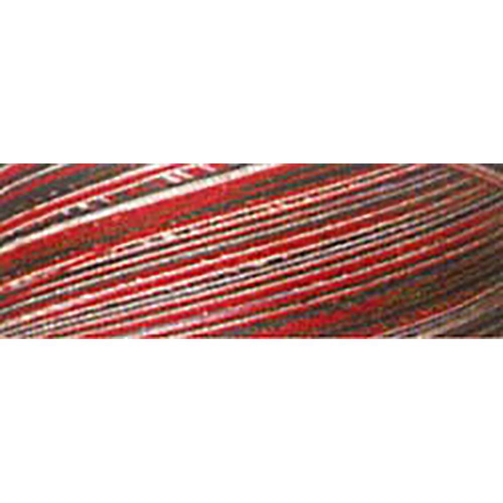 Cotton Quilting Thread 3-ply 40wt 3000yds Variegated Holiday – Keepsake ...